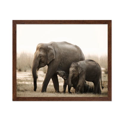 Elephant Family Bond