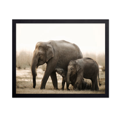 Elephant Family Bond