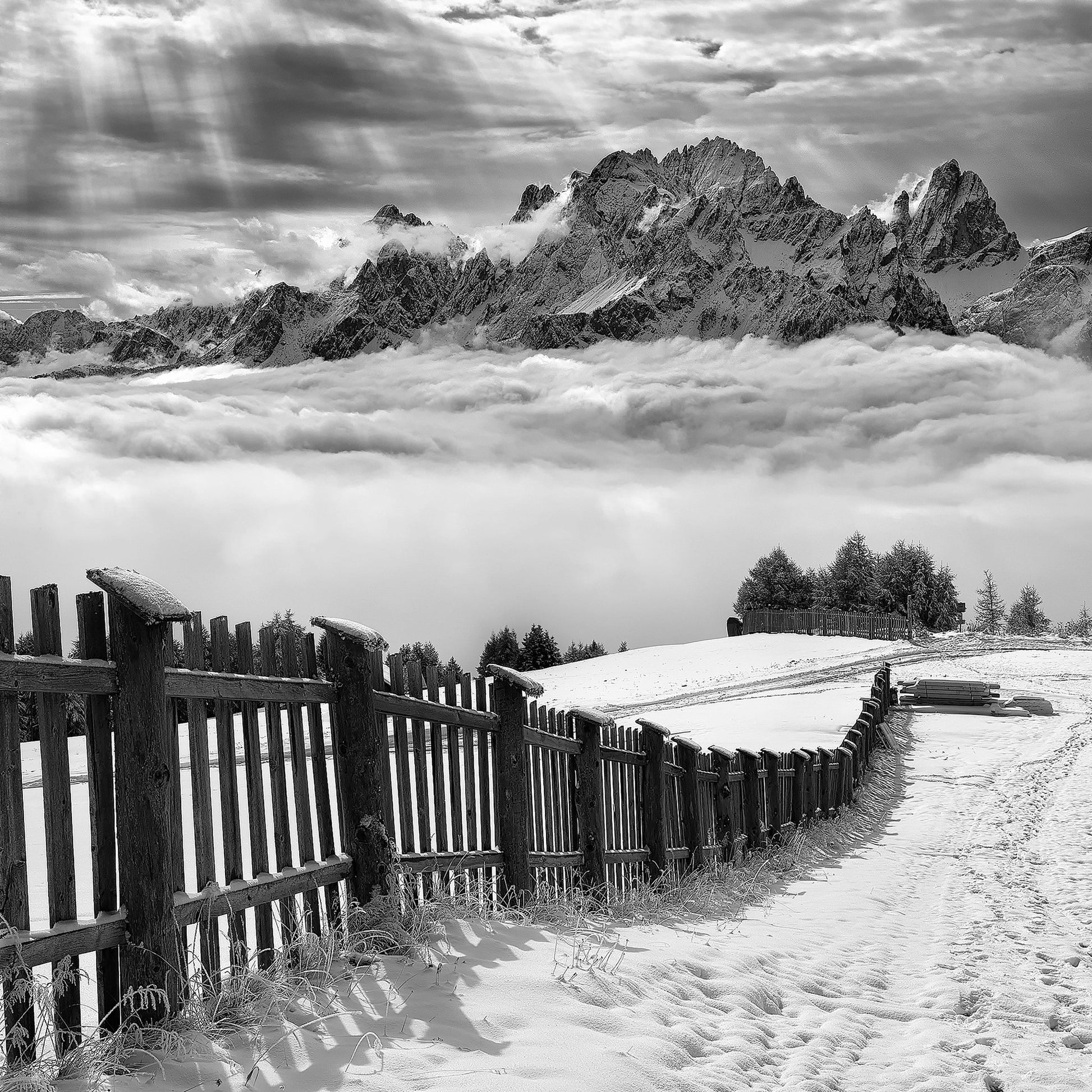 Monochrome Mountain Path