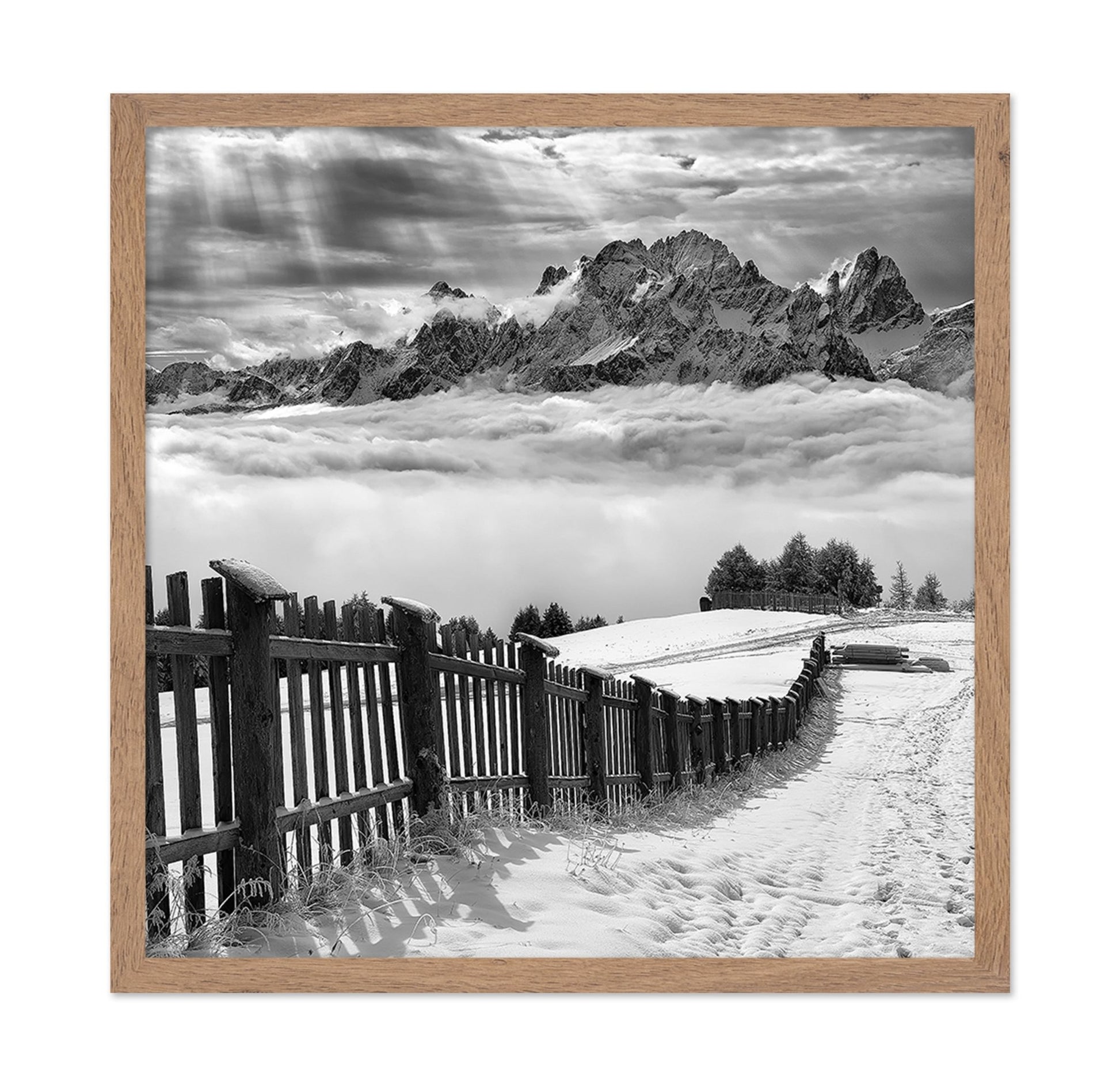 Monochrome Mountain Path
