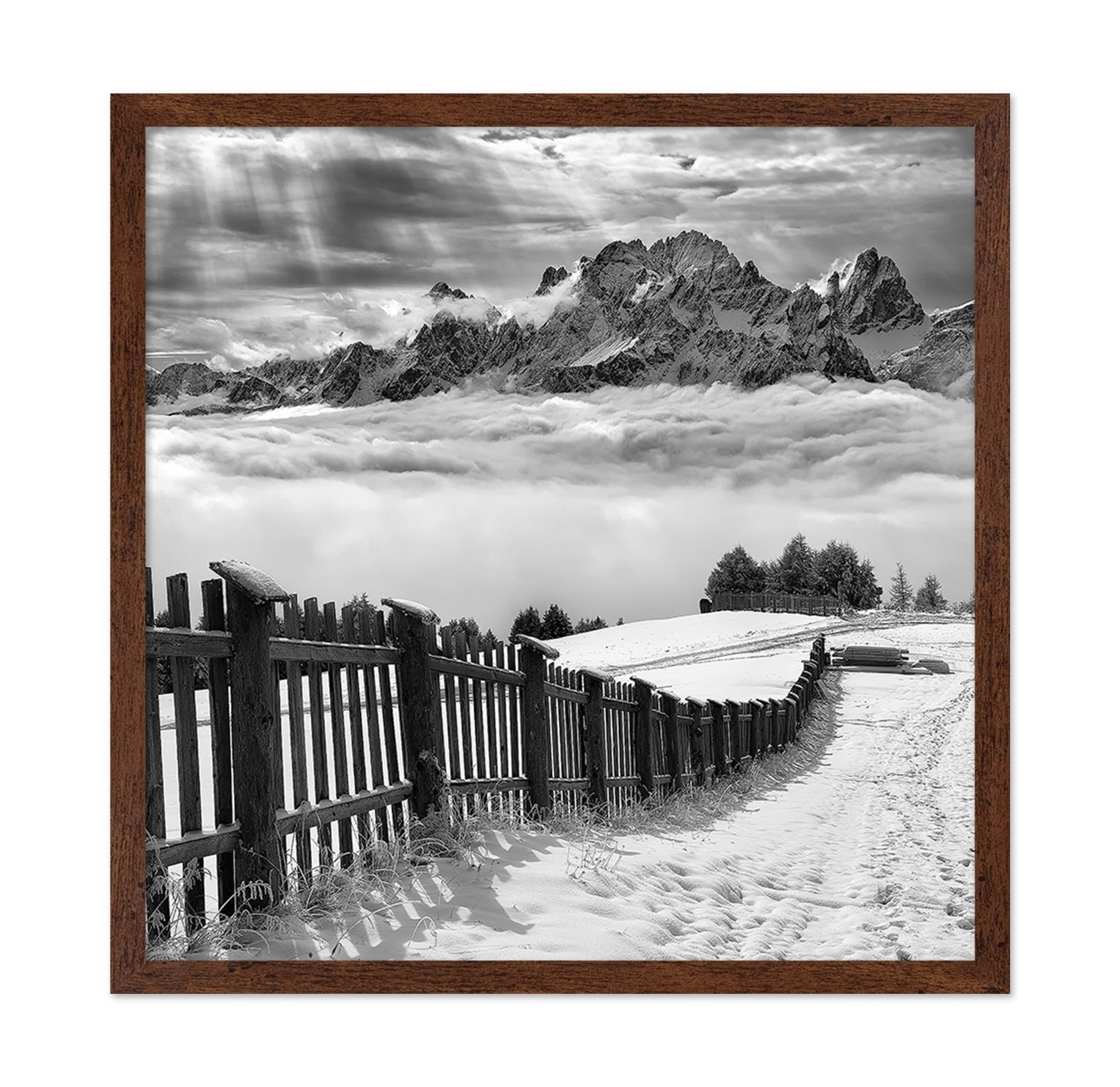 Monochrome Mountain Path