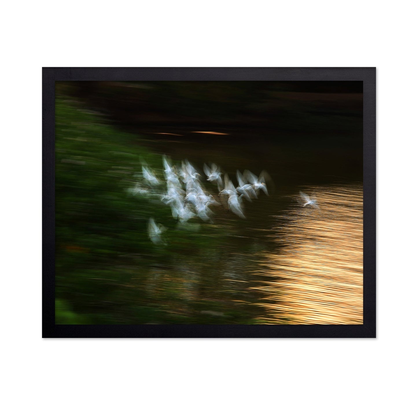 Bird Flight Blur