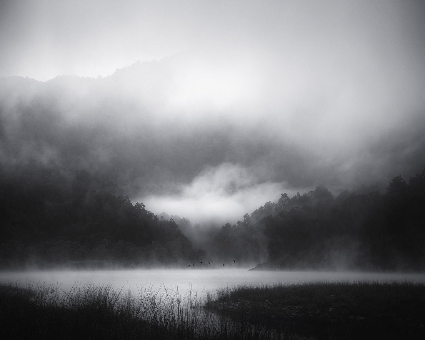 Misty Lake Silence