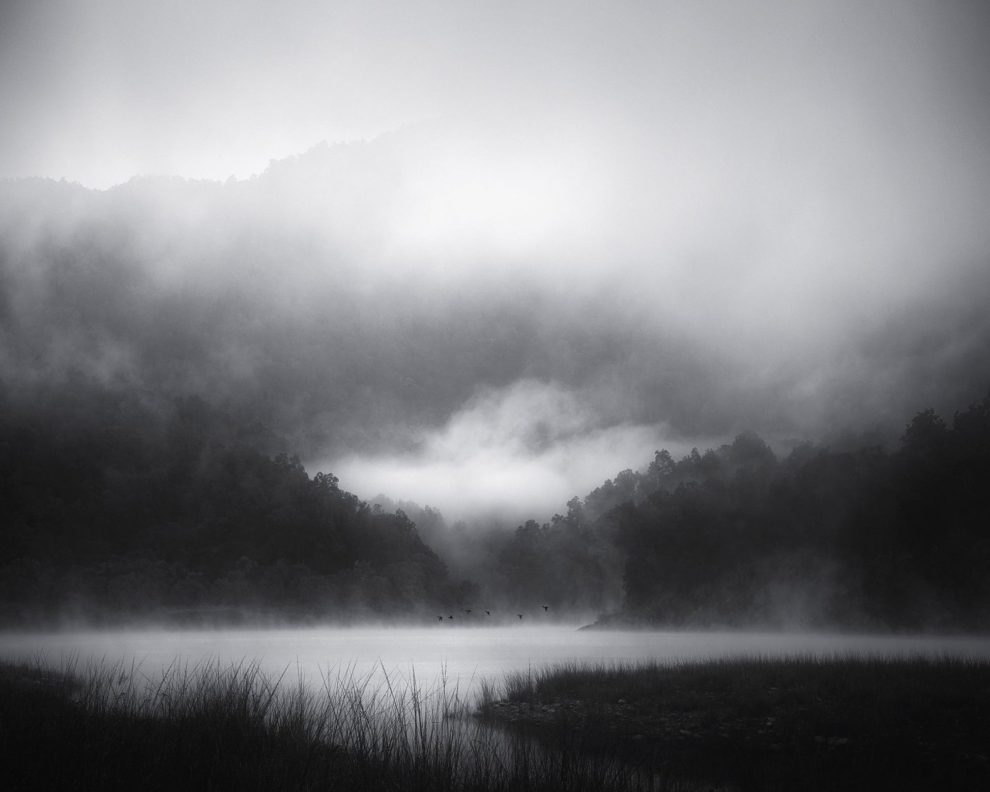 Misty Lake Silence