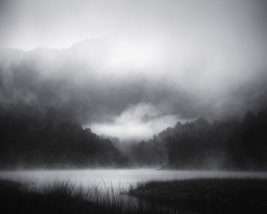 Misty Lake Silence