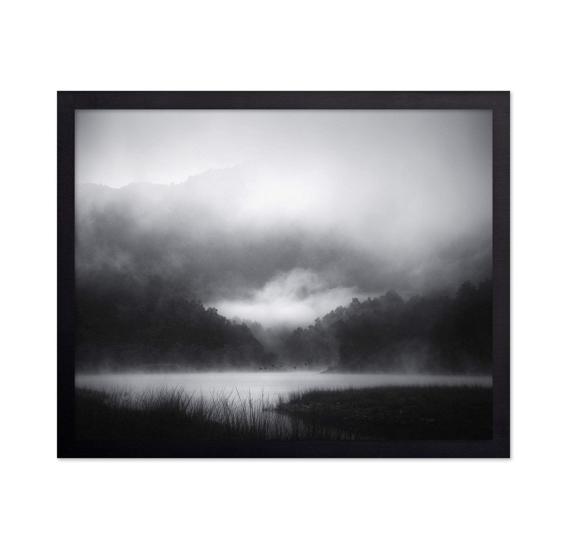 Misty Lake Silence