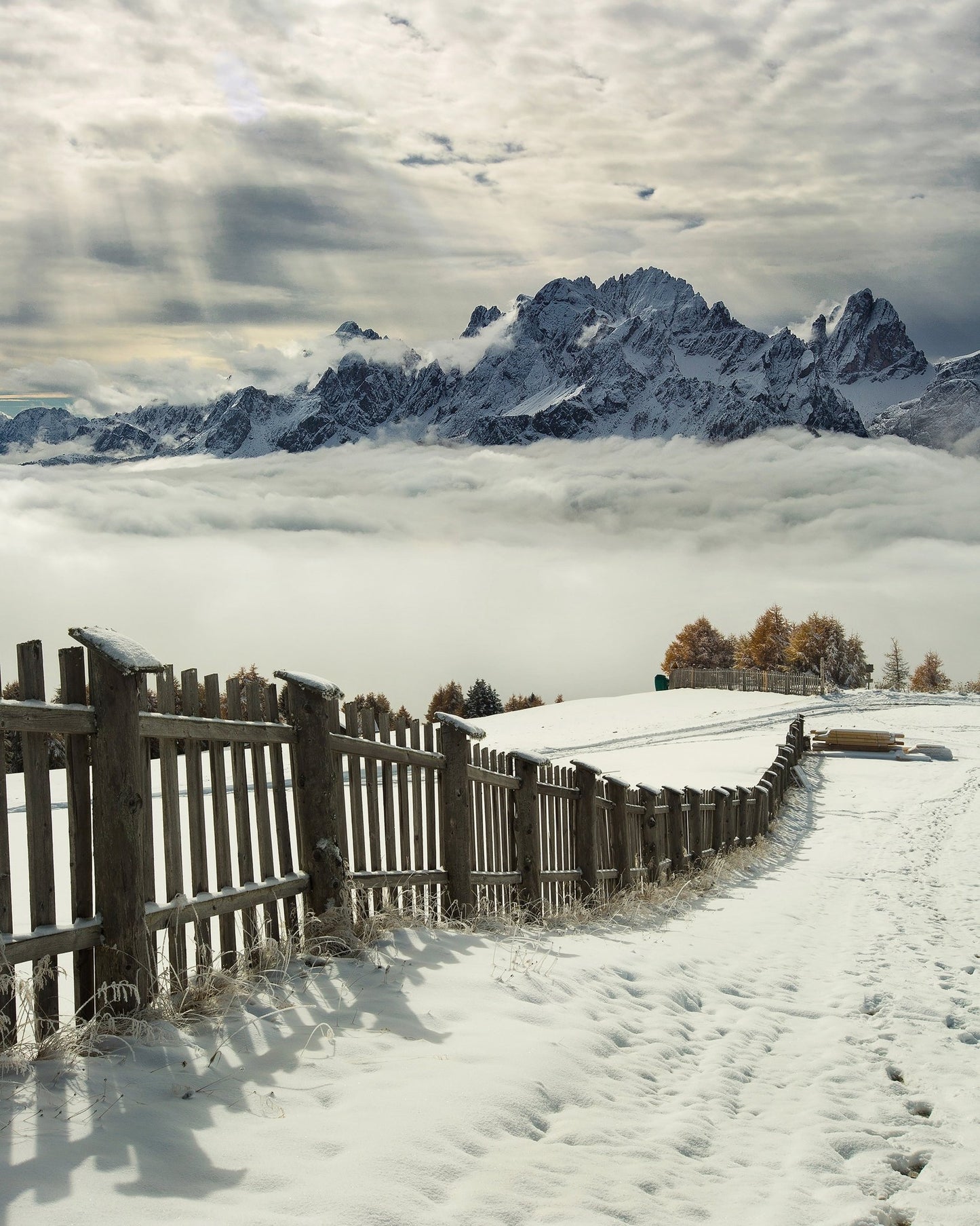 Snowy Mountain Path