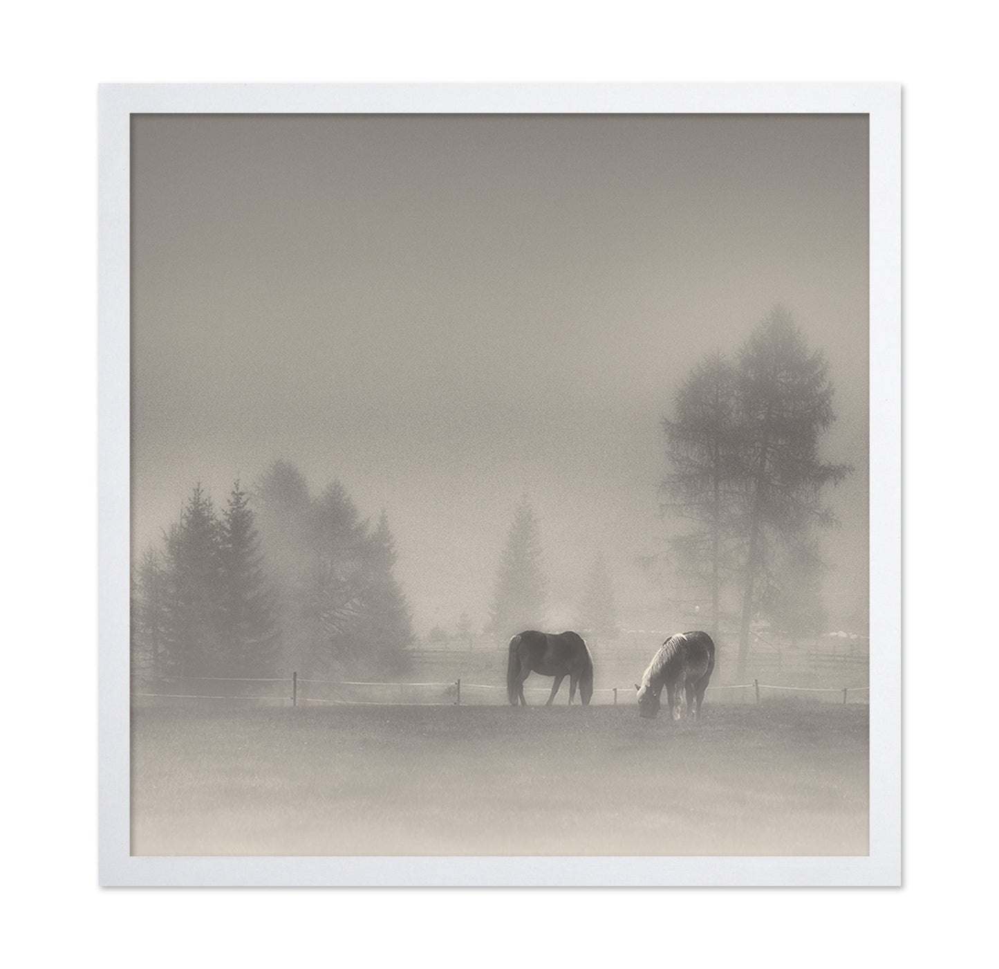 Misty Horses Meadow