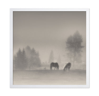 Misty Horses Meadow