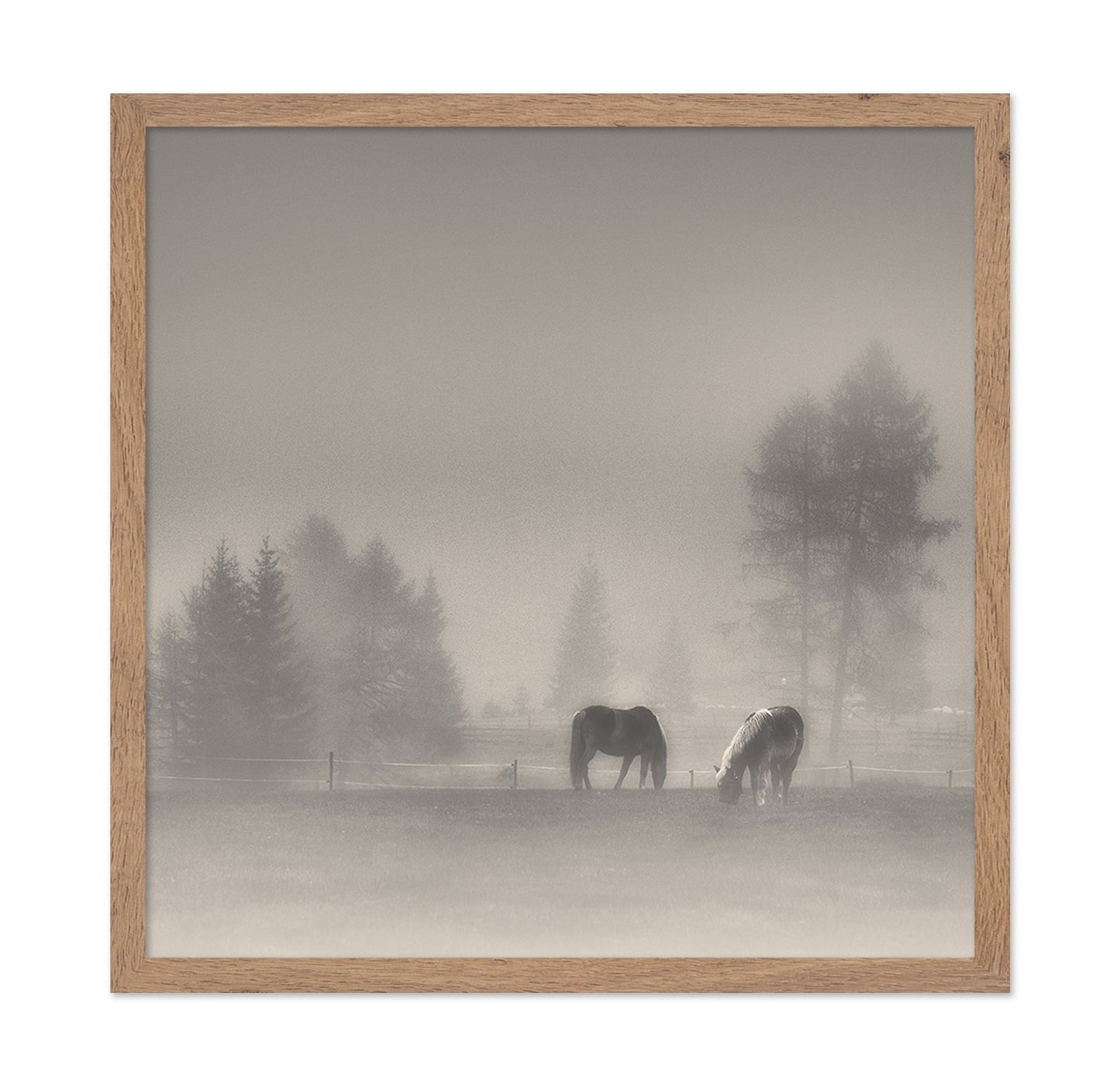 Misty Horses Meadow