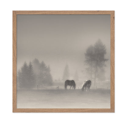 Misty Horses Meadow