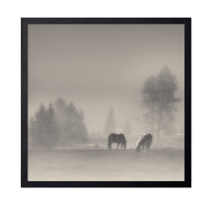 Misty Horses Meadow