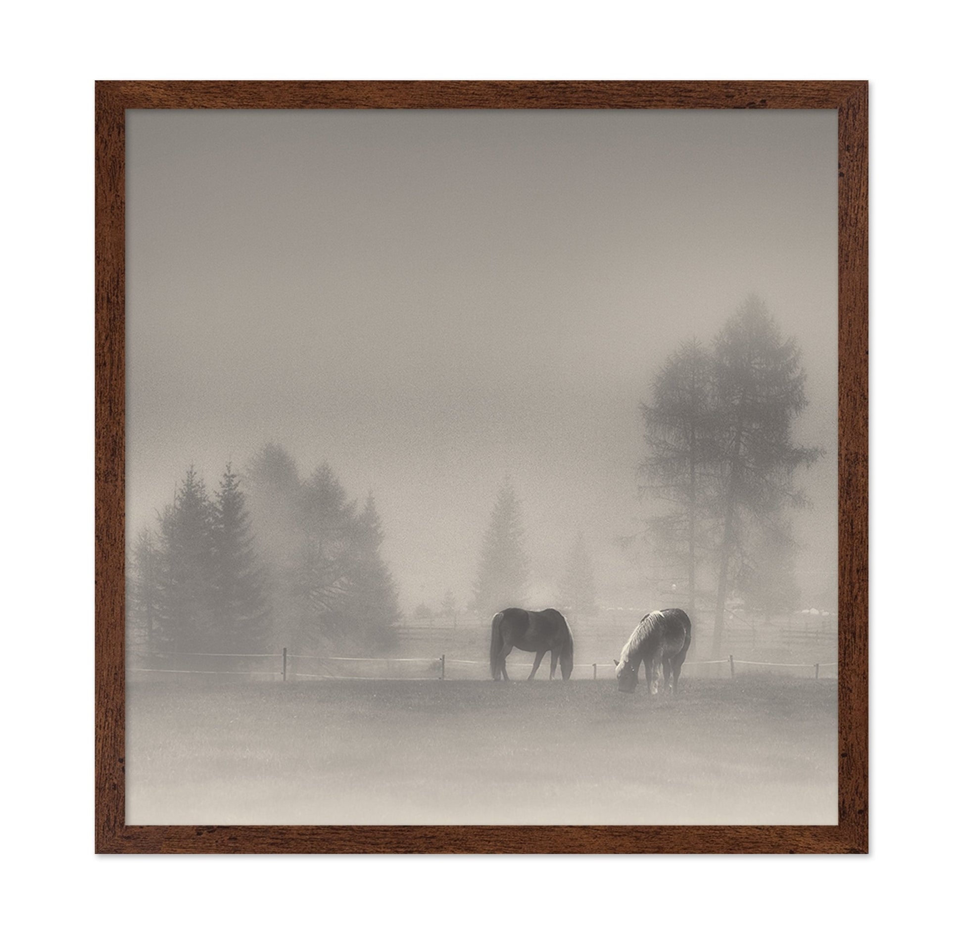 Misty Horses Meadow