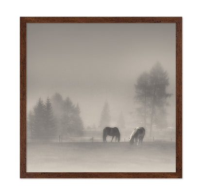 Misty Horses Meadow