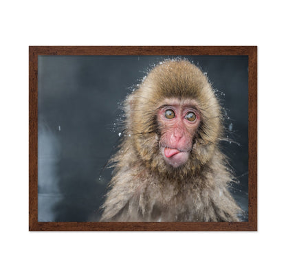 Playful Monkey Face