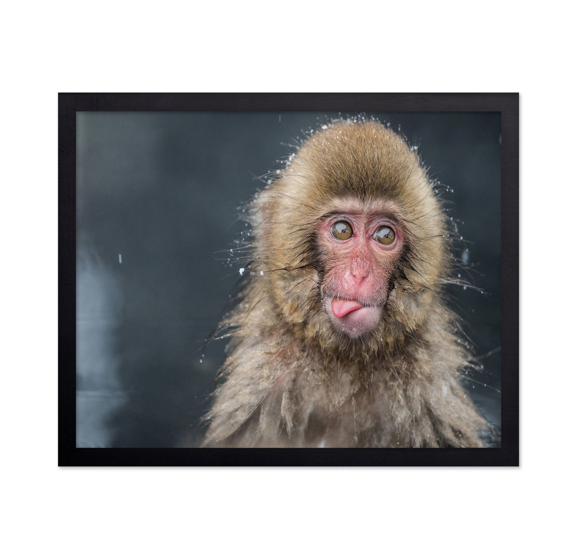 Playful Monkey Face