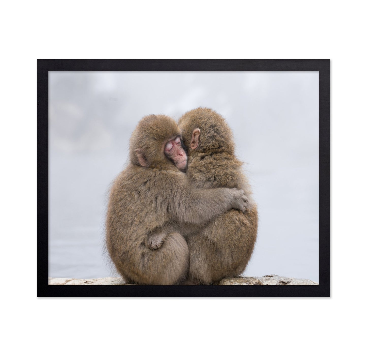 Warm Monkey Embrace