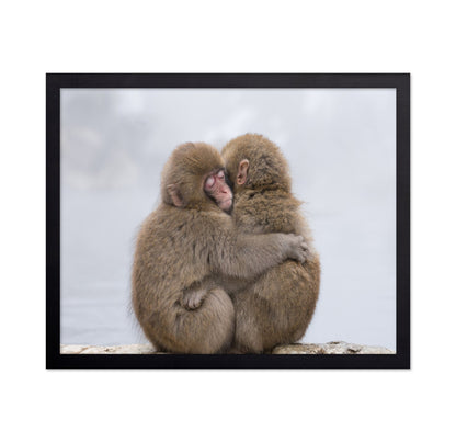 Warm Monkey Embrace