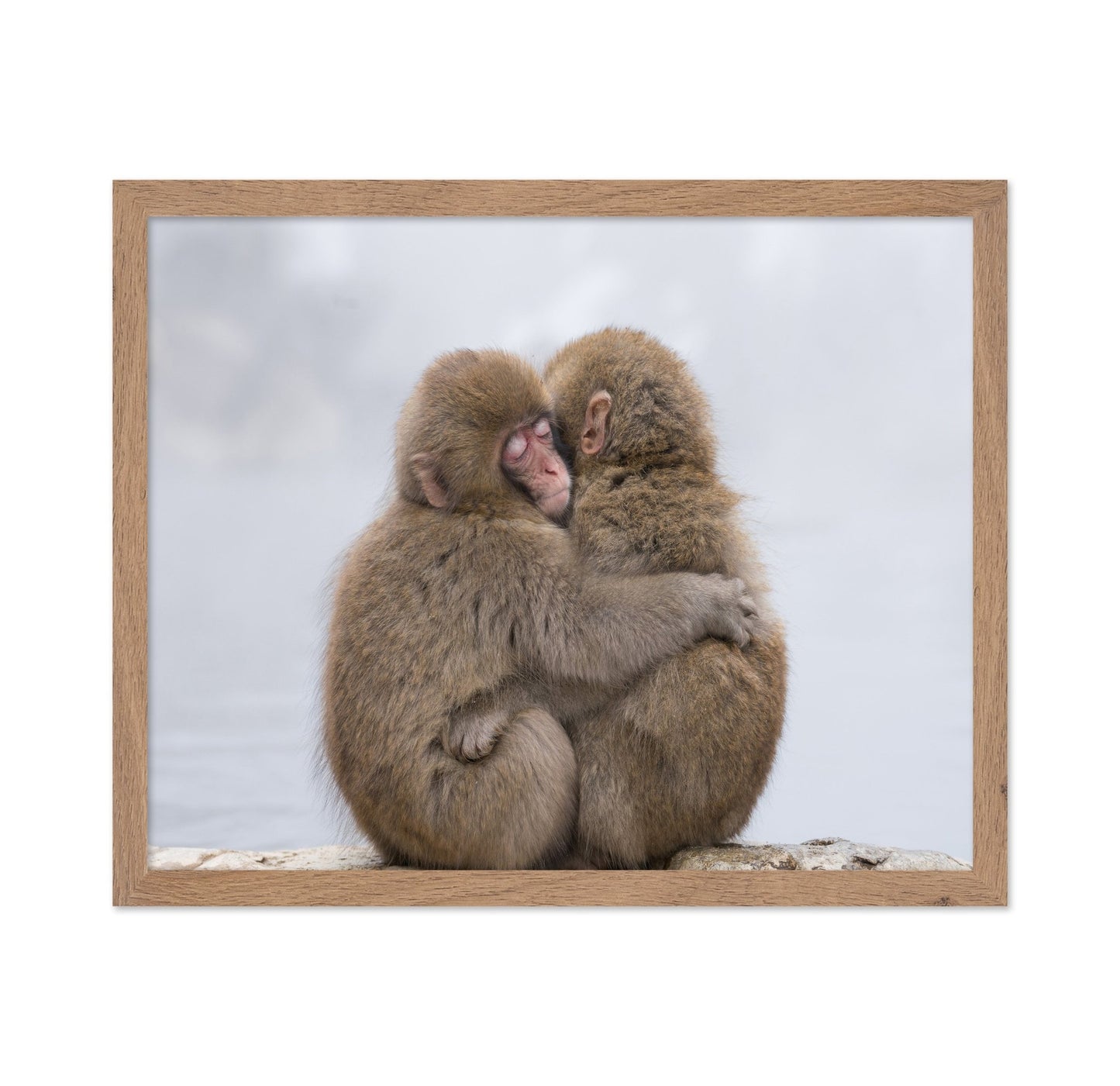 Warm Monkey Embrace