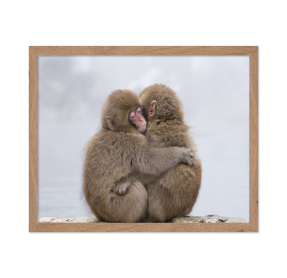Warm Monkey Embrace