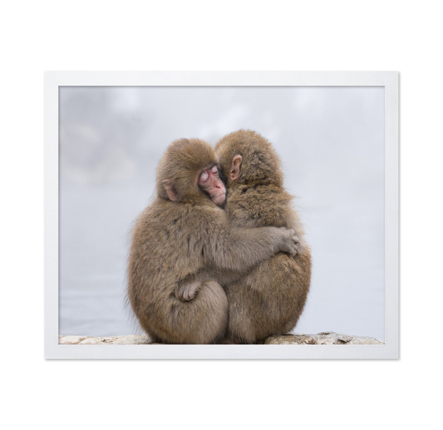 Warm Monkey Embrace