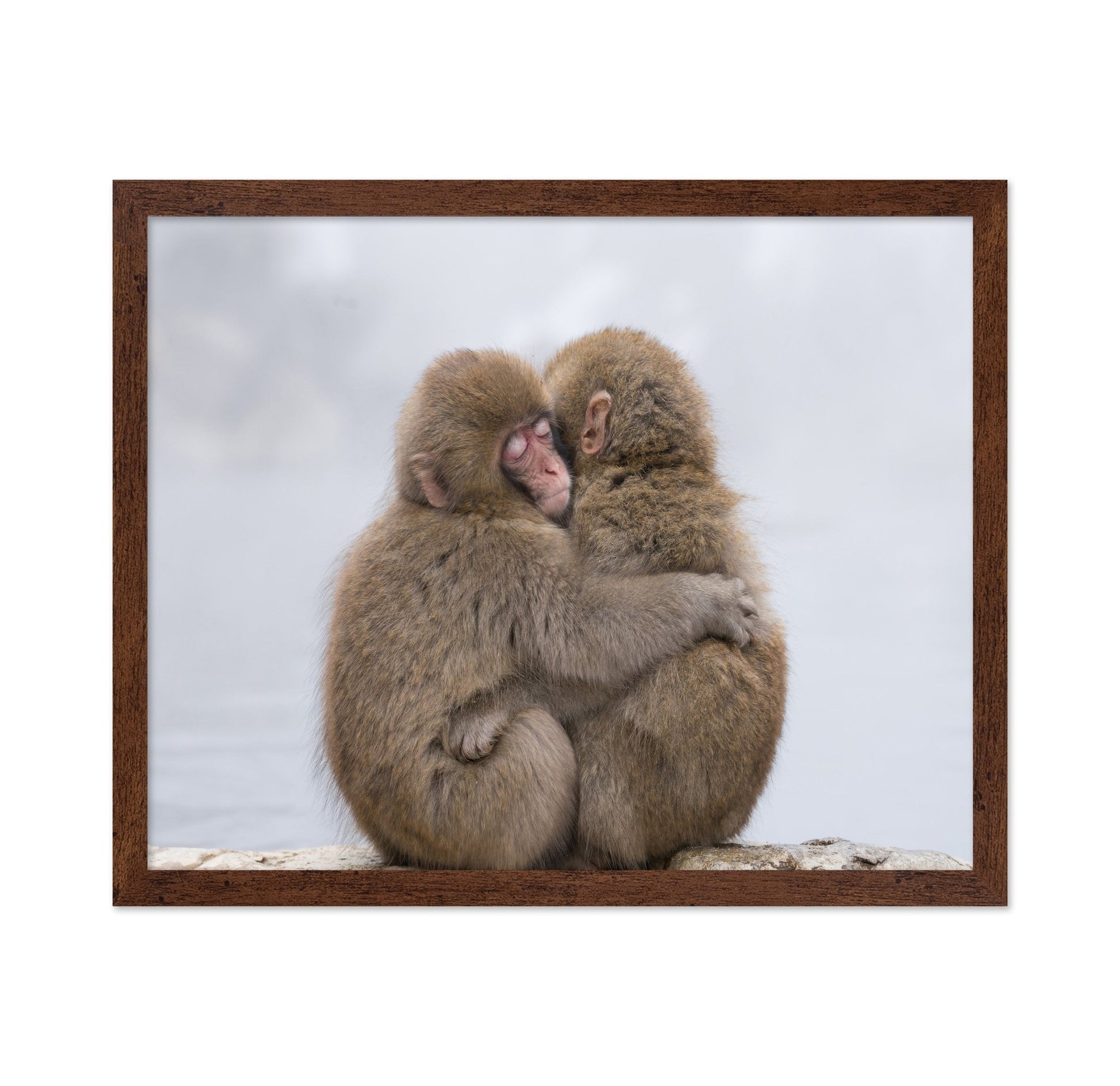Warm Monkey Embrace