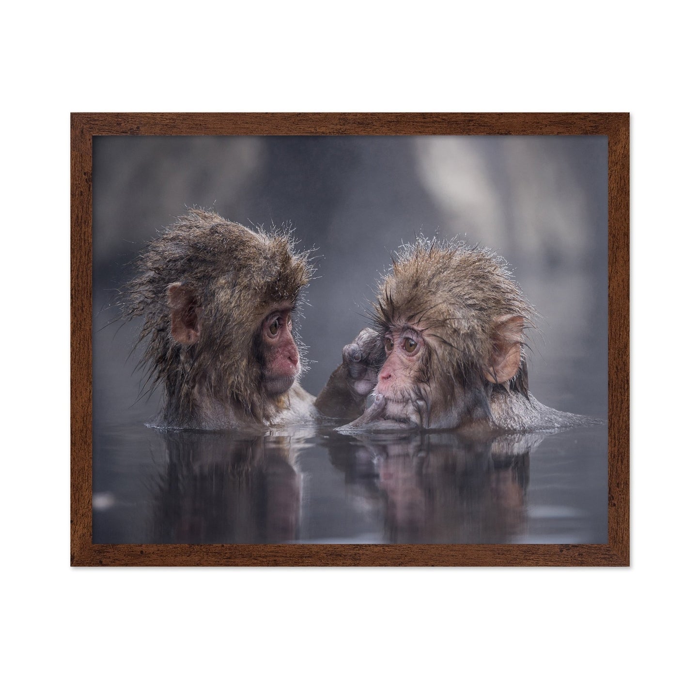 Monkey Bath Moment