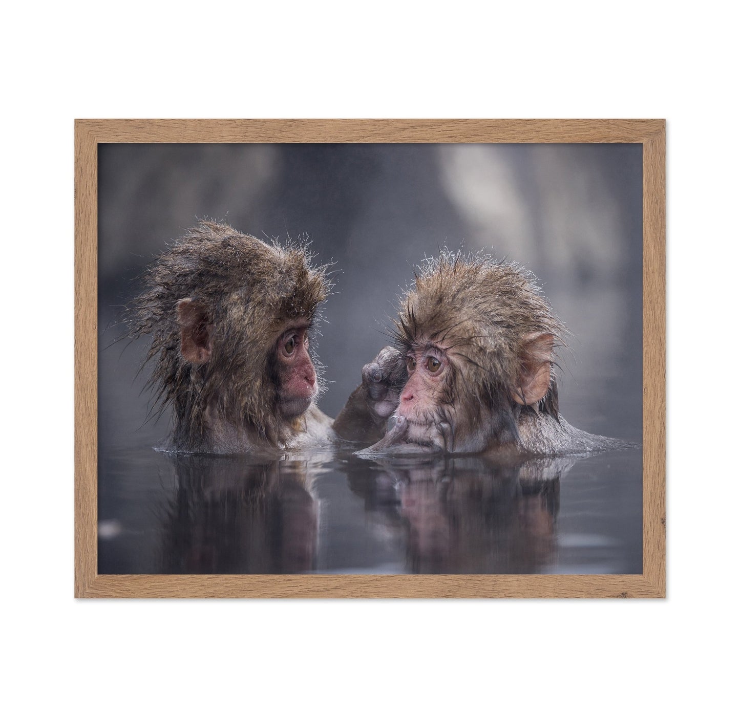 Monkey Bath Moment