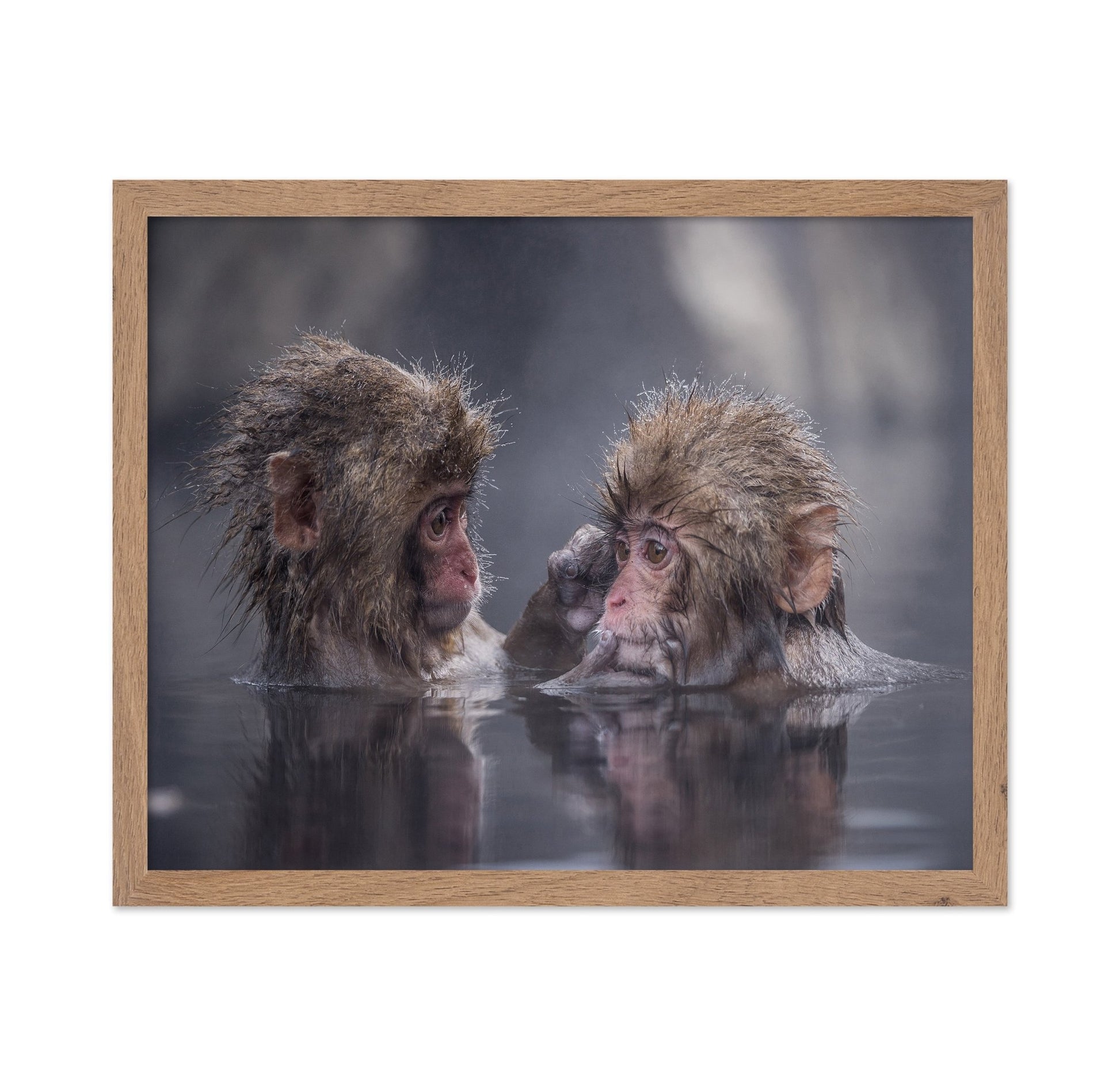Monkey Bath Moment