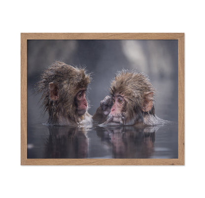 Monkey Bath Moment