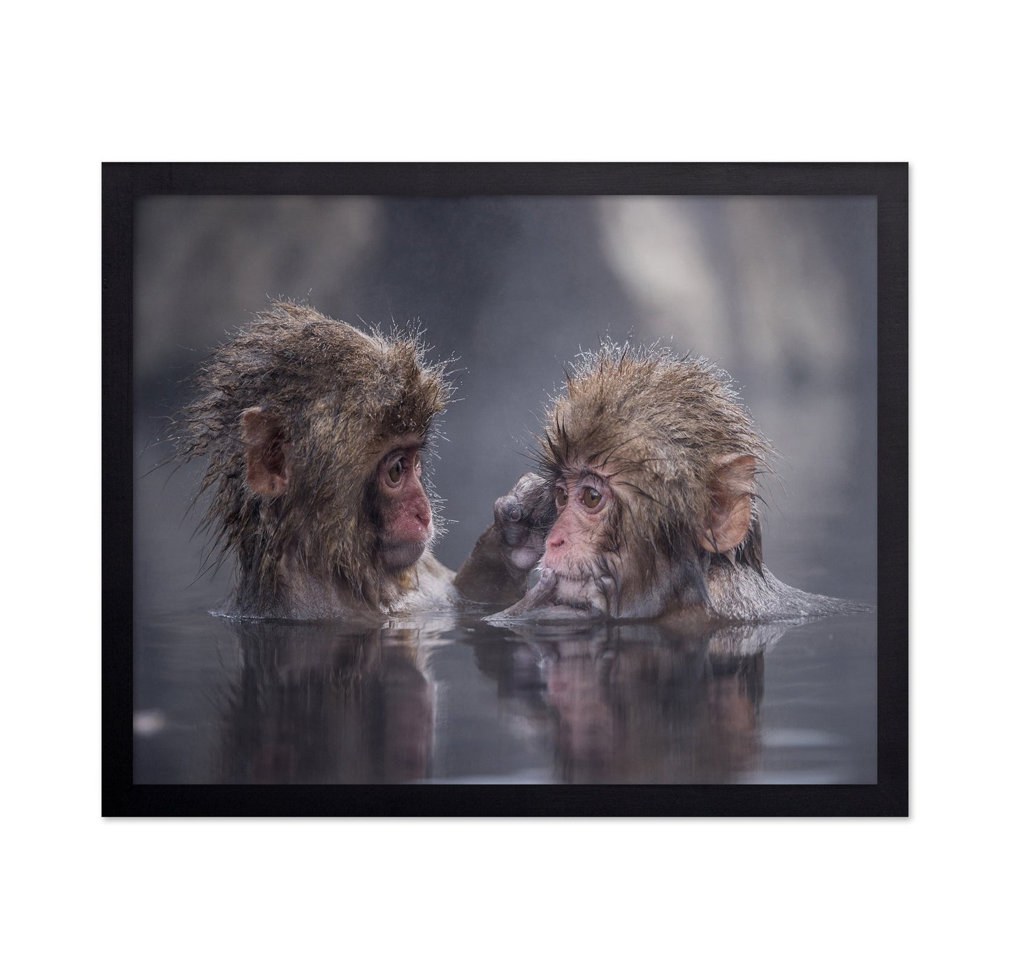 Monkey Bath Moment