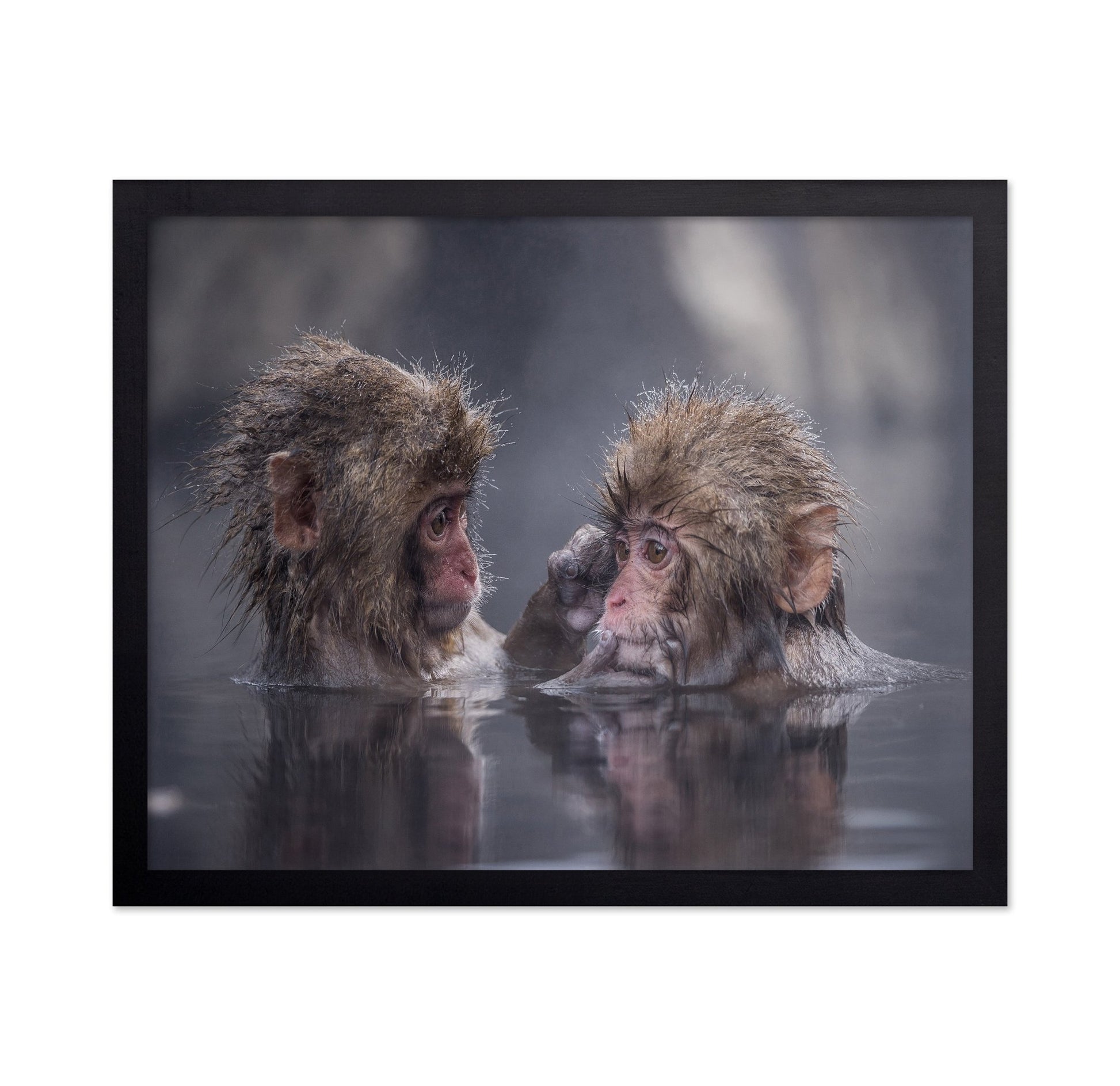 Monkey Bath Moment