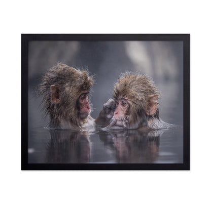 Monkey Bath Moment