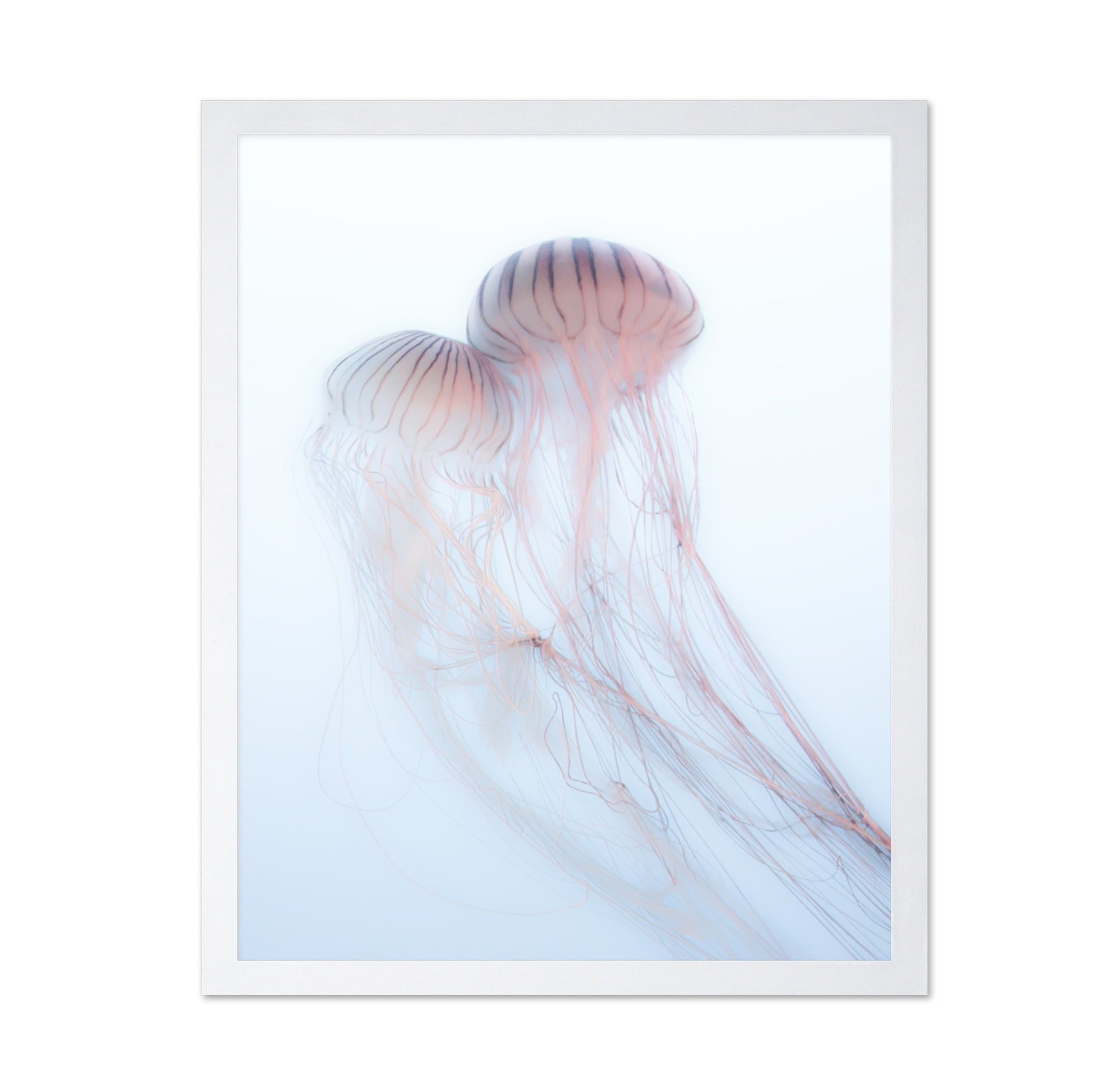 Soft Jelly Drift