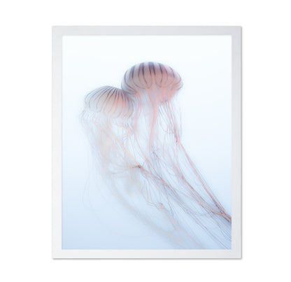 Soft Jelly Drift
