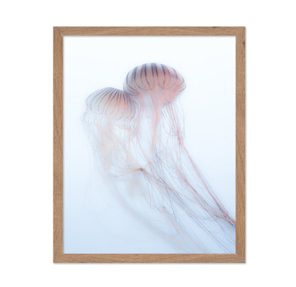 Soft Jelly Drift