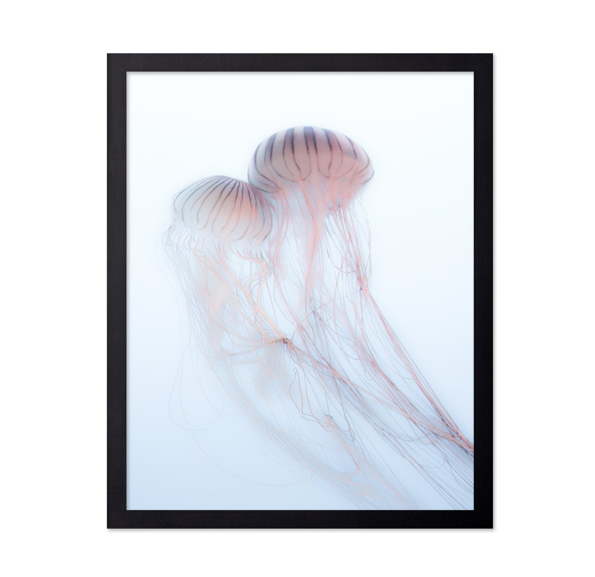 Soft Jelly Drift