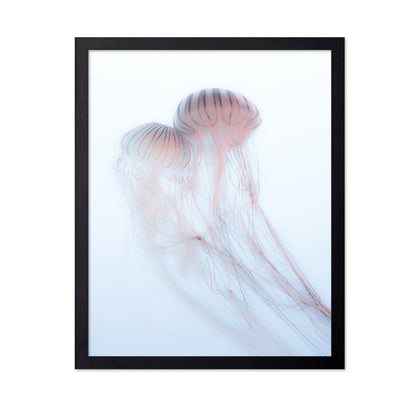 Soft Jelly Drift