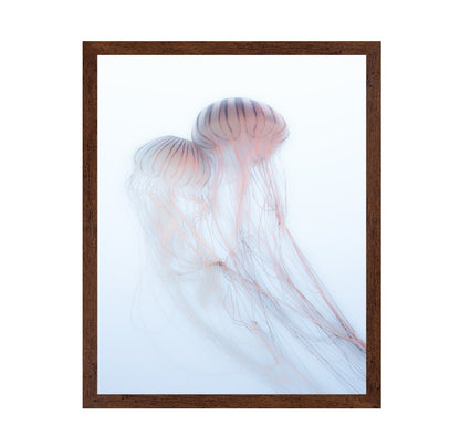 Soft Jelly Drift