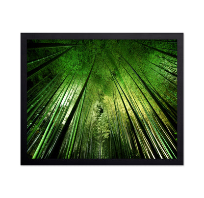Bamboo Sky View