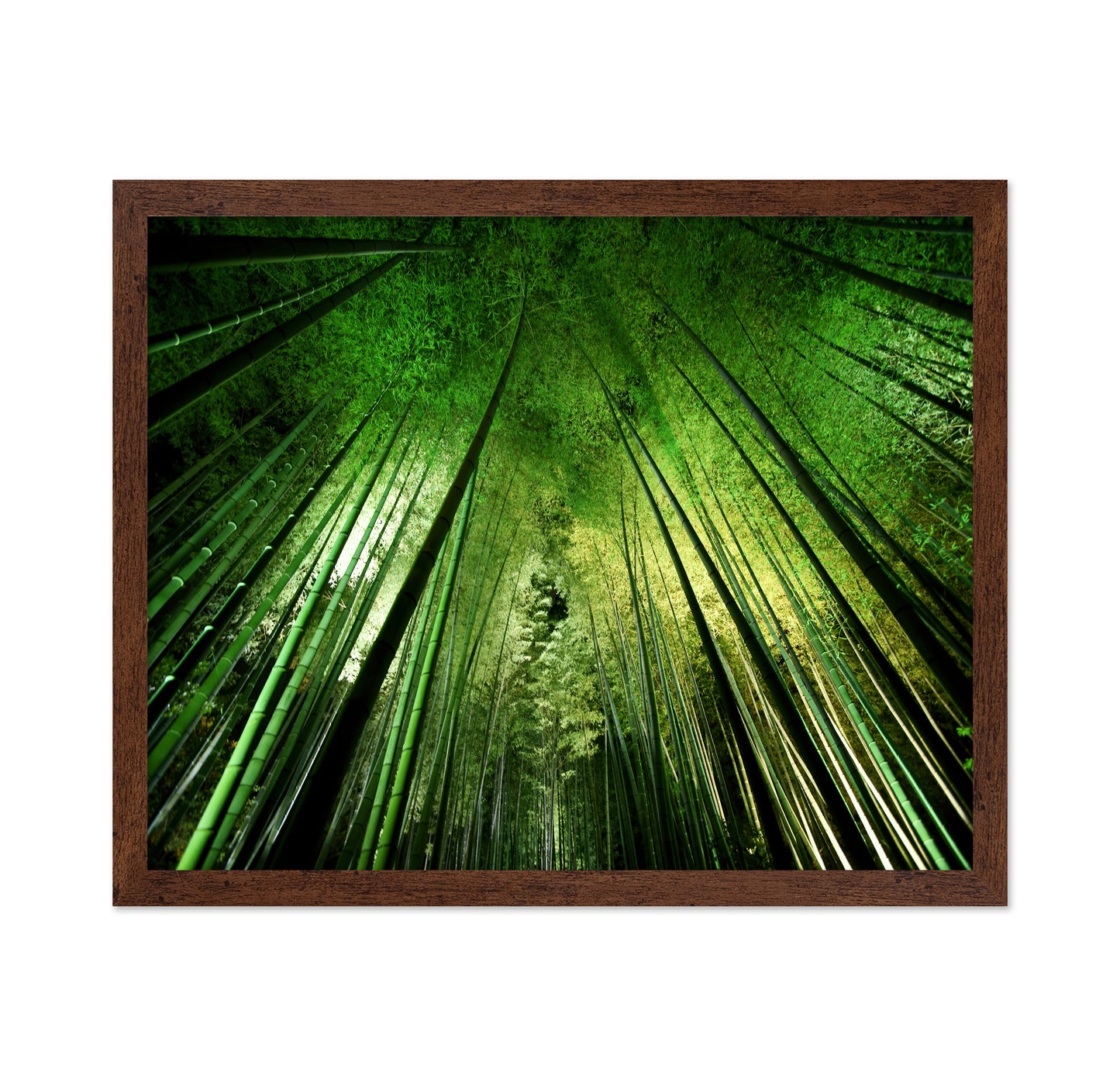 Bamboo Sky View