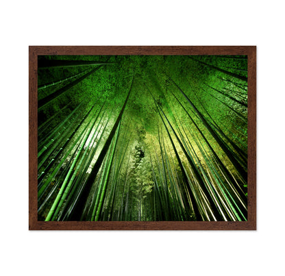 Bamboo Sky View