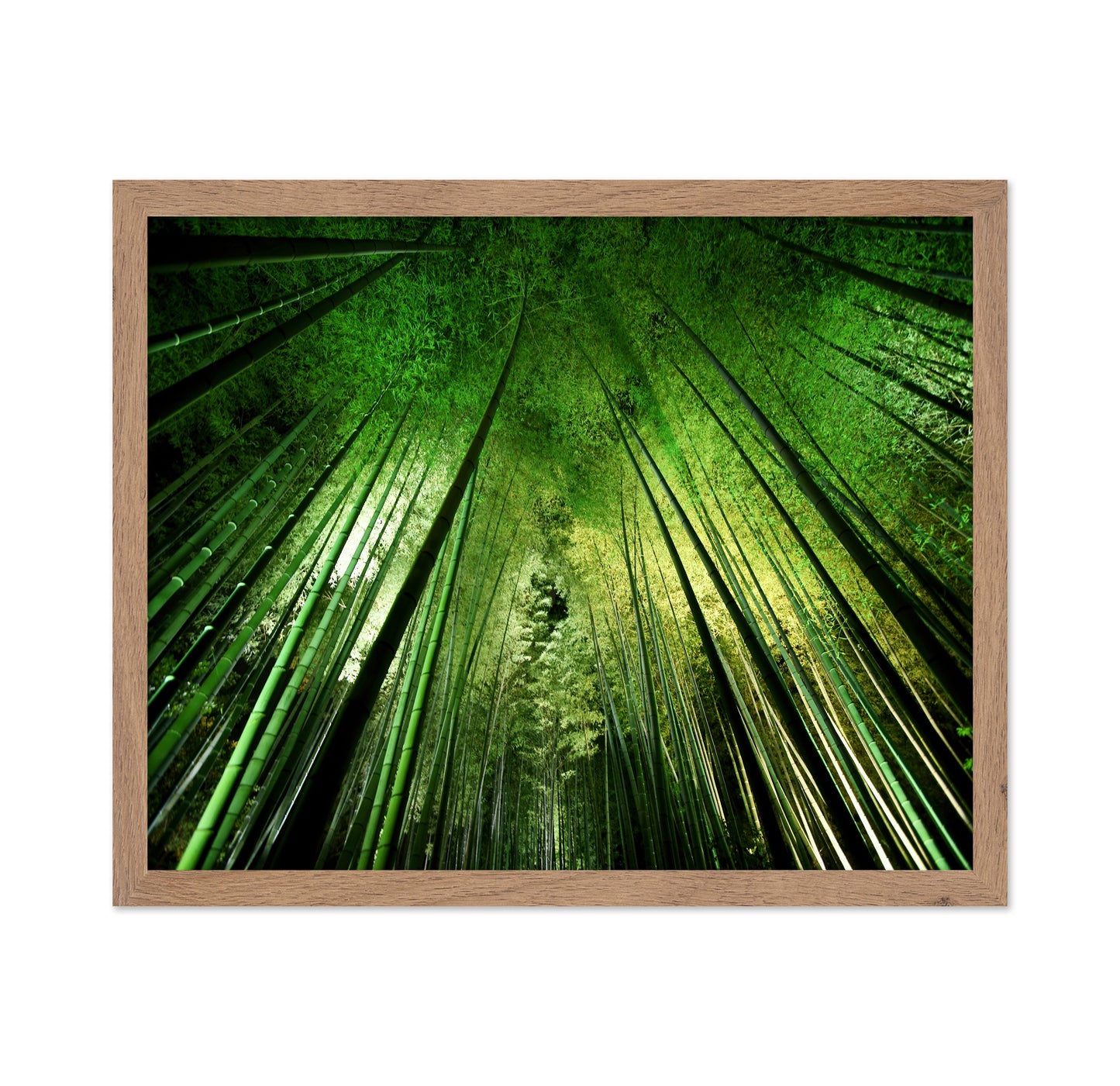 Bamboo Sky View