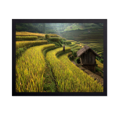 Rice Terrace Path