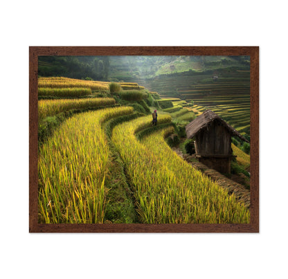 Rice Terrace Path
