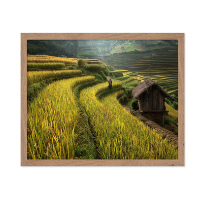 Rice Terrace Path
