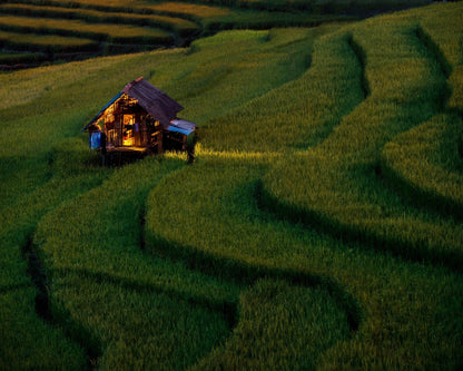 Golden Field Hut