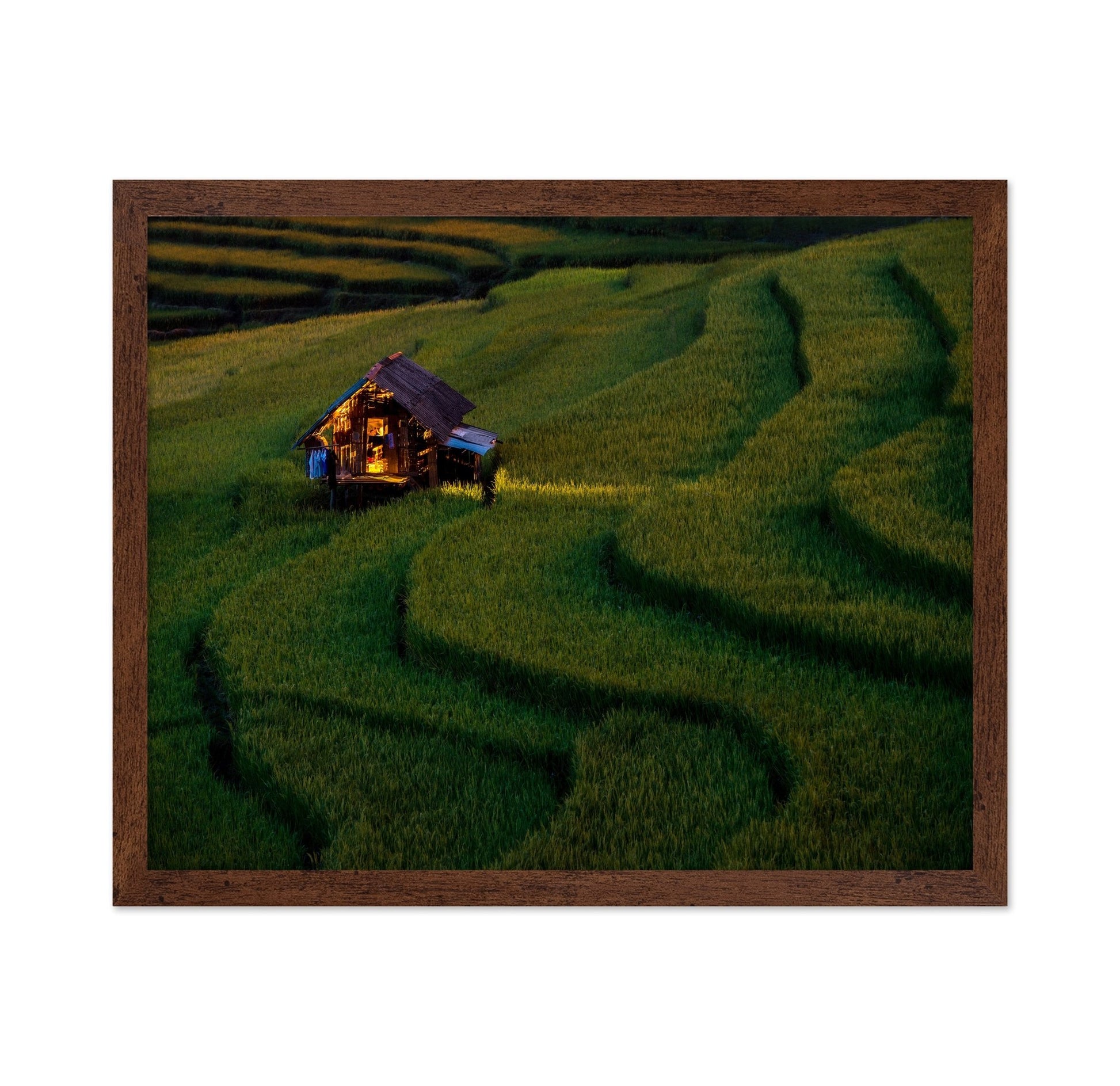 Golden Field Hut