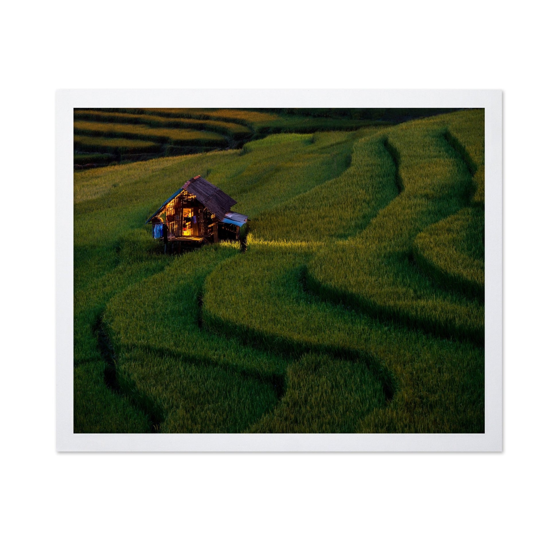 Golden Field Hut