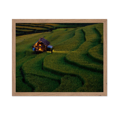 Golden Field Hut